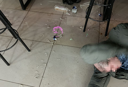 Задержаны и переданы полиции